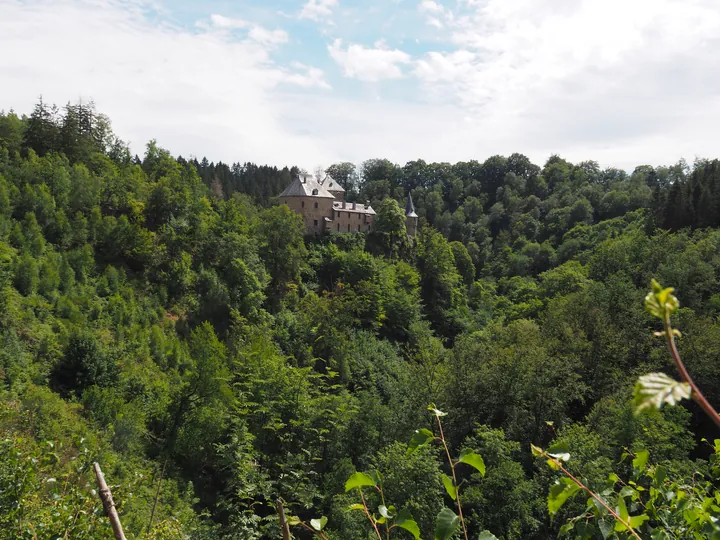 Chateau de Reinhardstein (België)